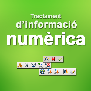 Tractament de la informació numèrica